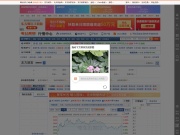 东方财富行情中心